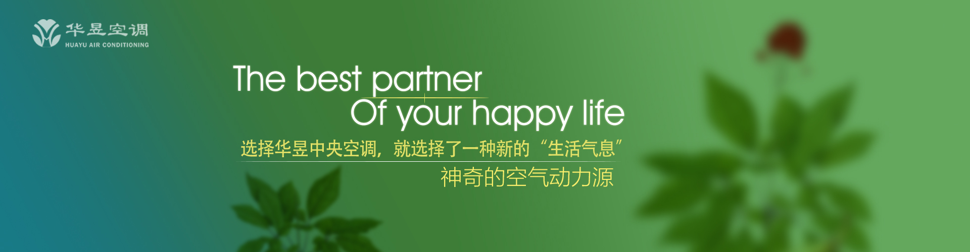 老迈龙钟网